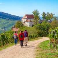Schloss Staufenberg bei Durbach