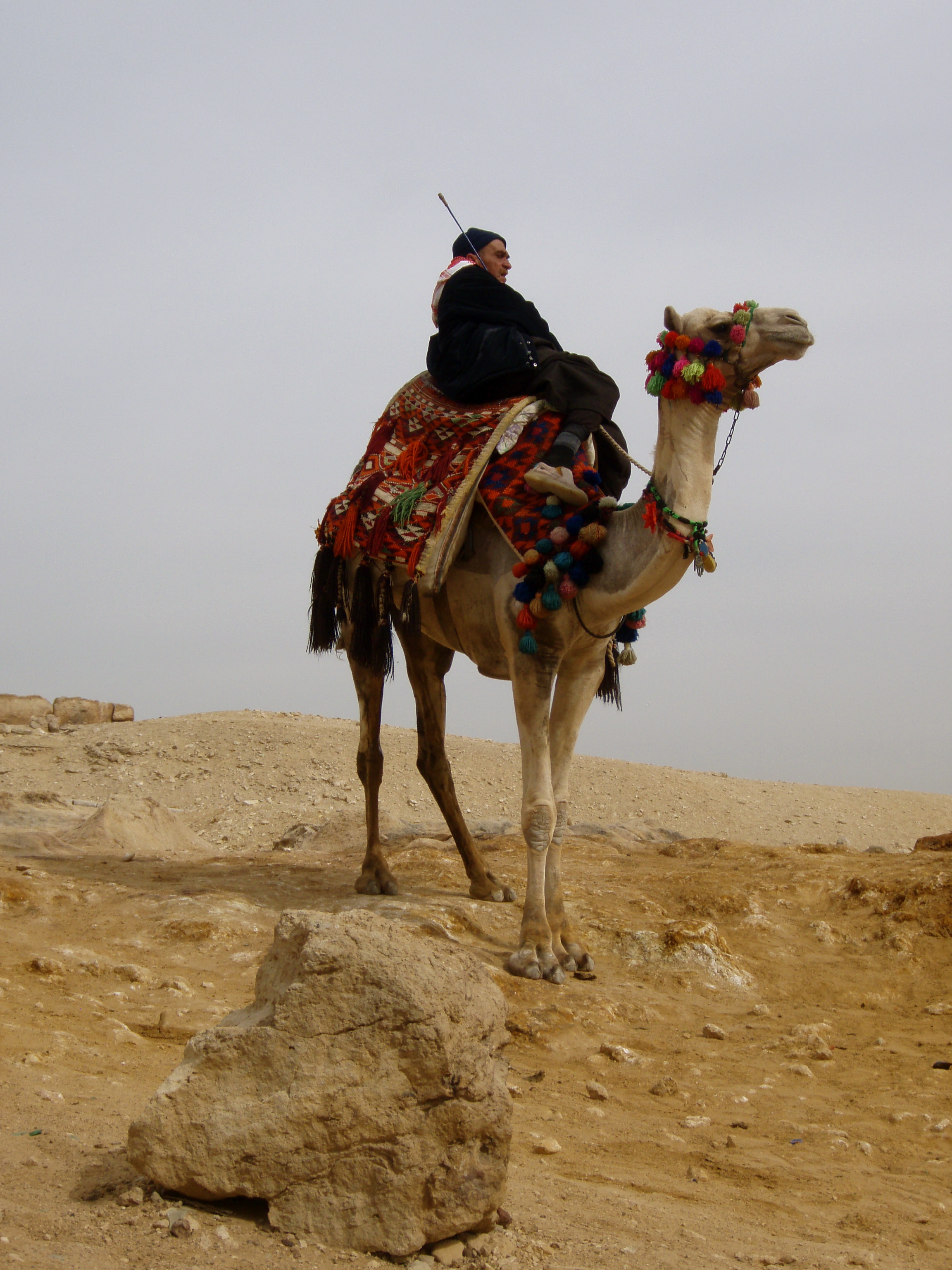 Beduine in der Wüste Sinai