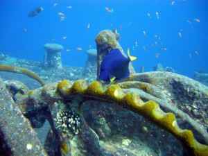 Thistlegorm Wrack