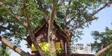 Erstes Baumhaushotel in Dänemark eröffnet