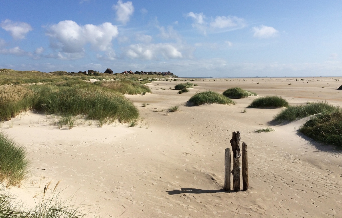 Strand auf Amrum