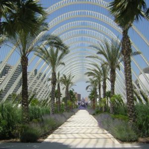 Museum of Science, Valencia