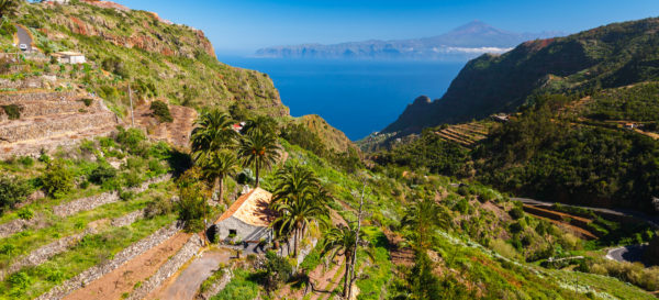 Mountain valley palm tree house sea Tenerife Teide background