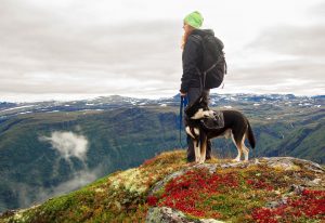 Norwegen im Herbst