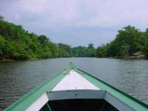 Amazonas