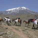 Der Berg Ararat liegt mitten in „Kurdistan“, dem Gebiet, das die Kurden für sich beanspruchen. Noch heute kämpfen sie für einen eigenen Staat – Zeichen, der Vielfältigkeit der Türkei. Foto: fotolia ©Klaas Köhne #77753609