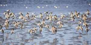 Foto: Nordseeheilbad Cuxhaven