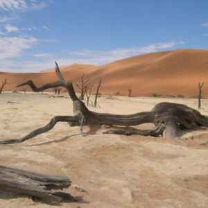 Death Valley, Sossusvlei, Namibia