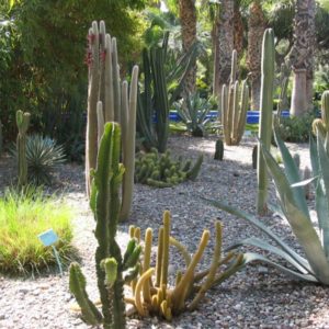 Garten, Marokko