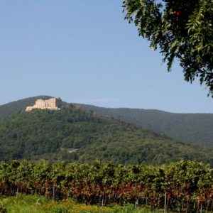 Hambacher Schloss, Rheinland-Pfalz, Deutschland