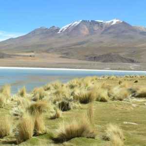 Küste, Salar de Uyuni, Bolivien
