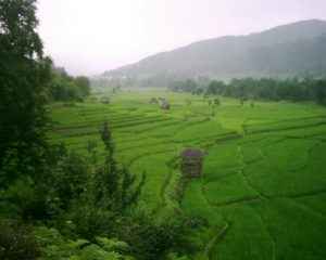 Lafoor, Iran