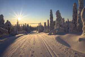 Lappland Schnee
