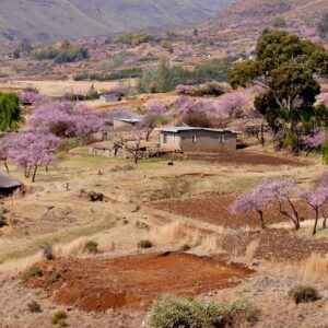 Bergdorf in Lesotho