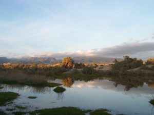 Maspalomas, Gran Canaria, Spanien