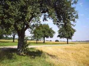 Natur, Schwaben, Baden Württemberg