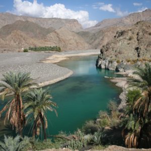 Oase im Oman