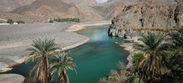 Oase im Oman