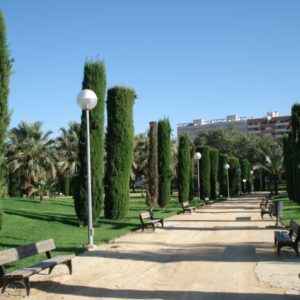 Park, Alicante, Valencia