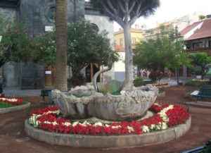 Puerto de la Cruz, Teneriffa, Spanien