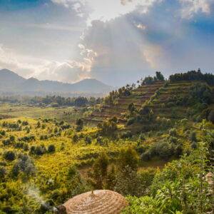 Volcanoes Nationalpark