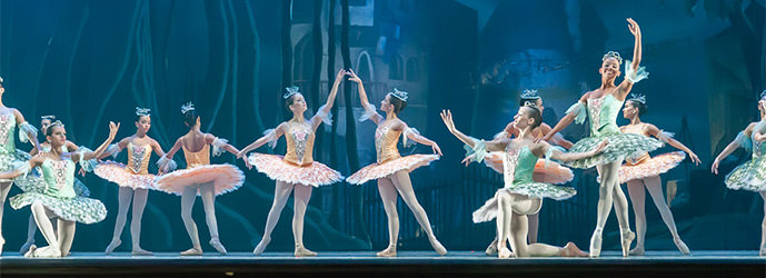 Russland Kulturelles Visum