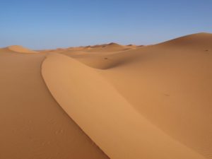 sahara-wueste sahara-wueste