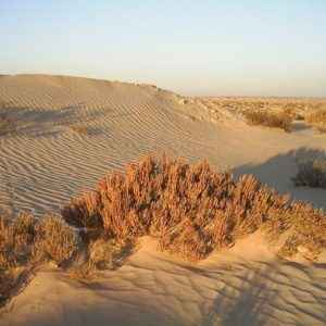 Sahara-Wüste, Tunesien