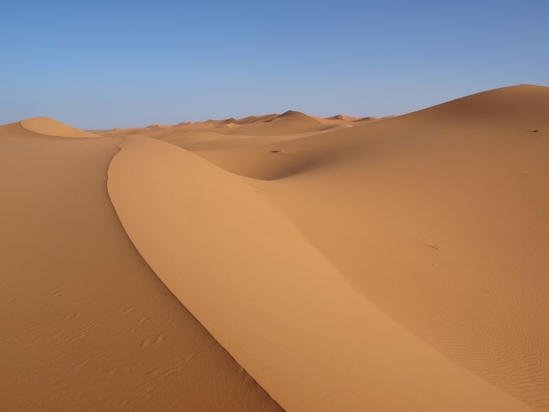 Sahara Wüste Afrika