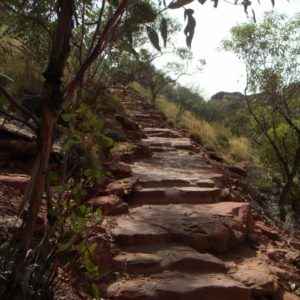 Steintreppe, Kngs Canyon, Northern Territory