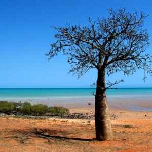 Strand, Broome, Western Australia