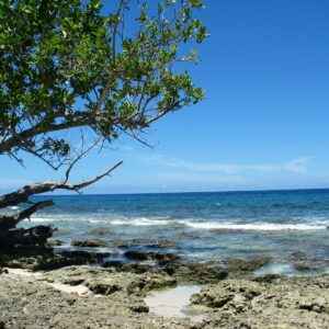 Strand in Papua-Neuguinea