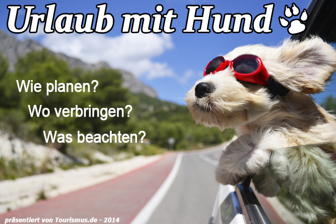 Urlaub mit Hund