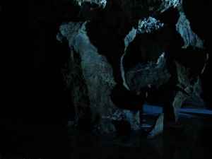 Wiege der Menschheit