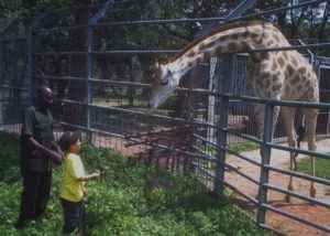 Zoo, Abuja, Nigeria Zoo, Abuja, Nigeria