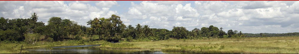 Tourismus.de - Guyana