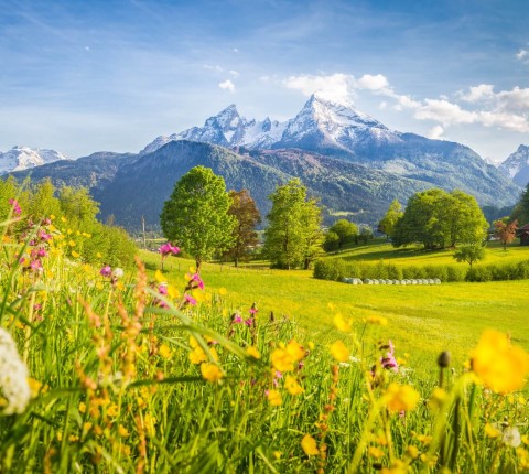 4 Tage im 3 Hotel Hotel Zum Postillion