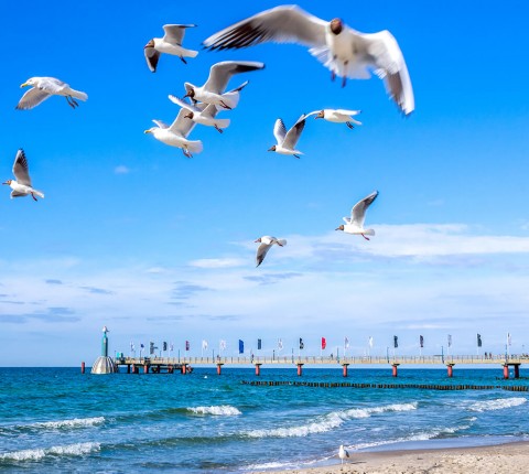 4 Tage im 3 Hotel Strandhotel