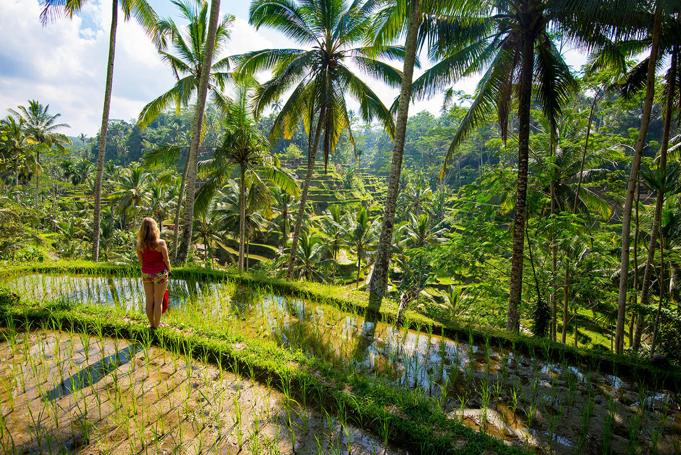 Indonesien - Reisezeit
