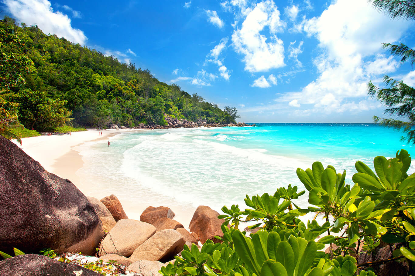 Seychellen - Anse Georgette