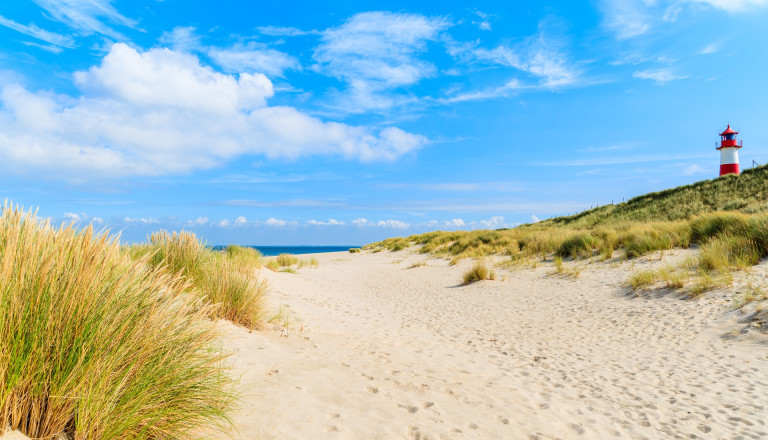 Denmark beach