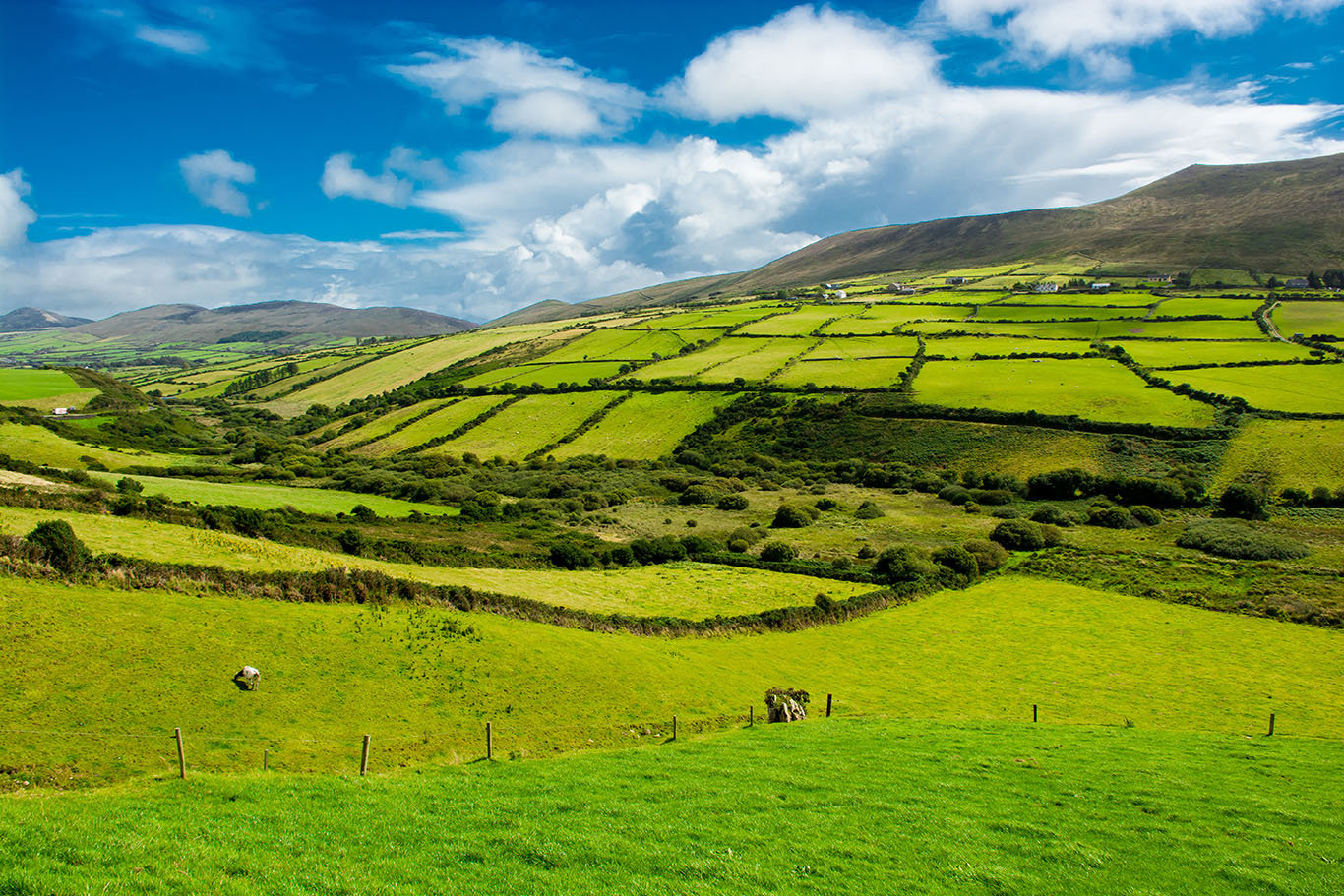 Billigfluege-Irland