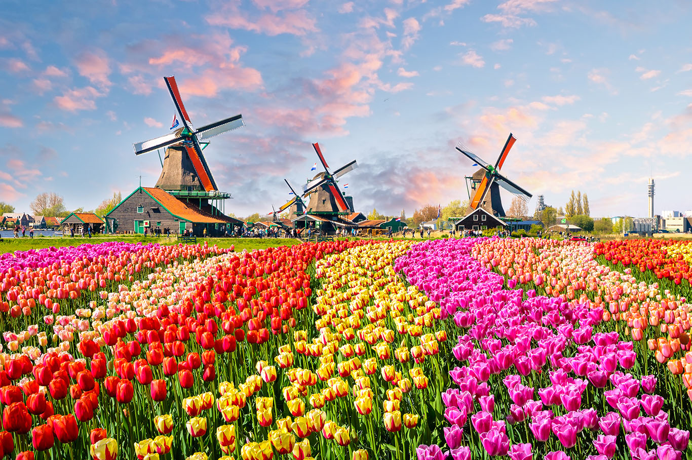 Billigfluege-Niederlande