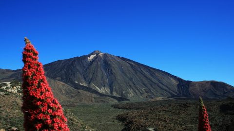 Flüge nach Teneriffa